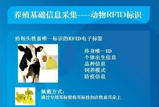 動物RFID標(biāo)識示意圖.jpg